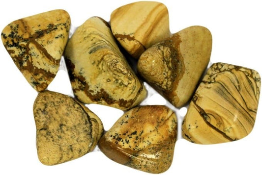 Kalahari Desert Stone Large 24 Pack