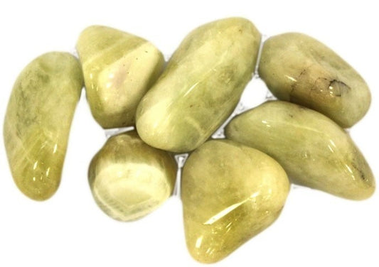 Prasiolite Large 24 Pack
