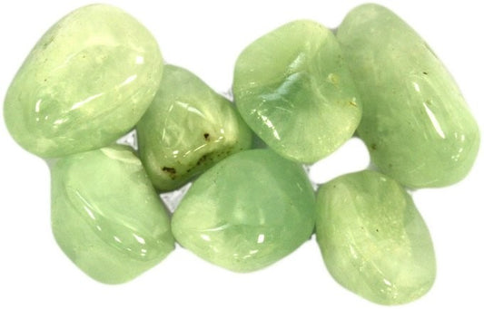 Prehnite Large 24 Pack
