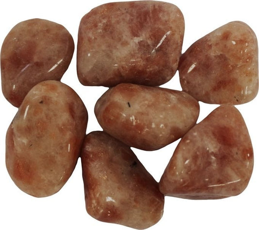 Sunstone Large 24 Pack