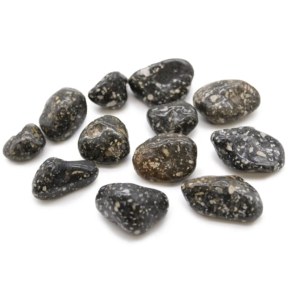 Guinea Fowl Medium Tumblestone 12 Pack