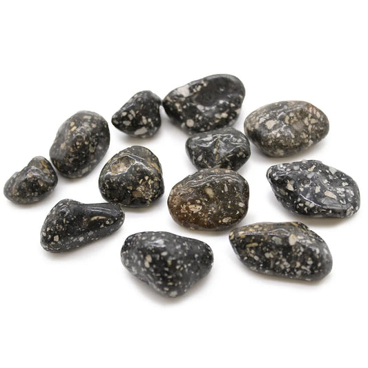 Guinea Fowl Medium Tumblestone 12 Pack