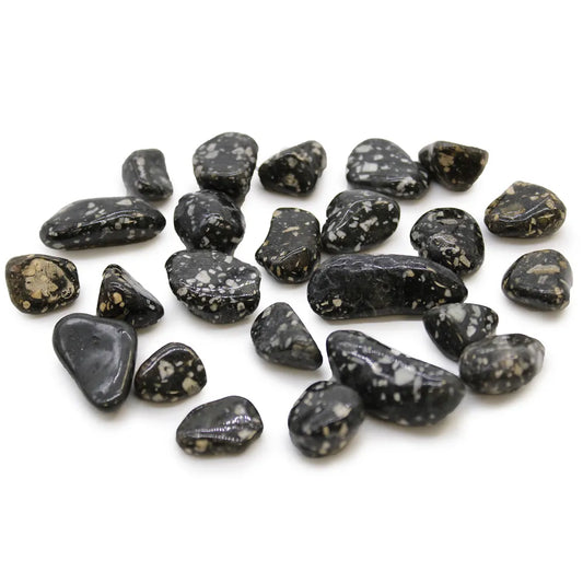 Guinea Fowl Small Tumblestone 24 Pack