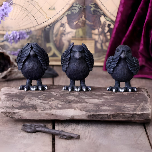 Three Wise Ravens