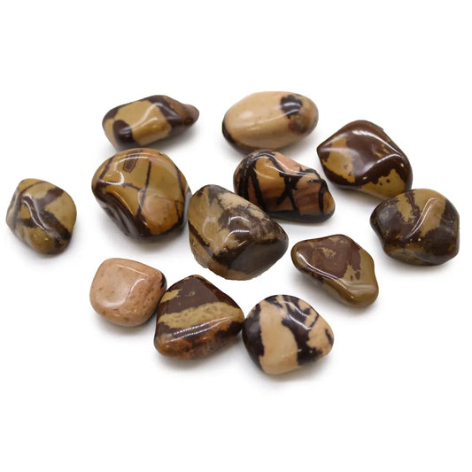 Jasper Nguni Medium Tumblestone 12 Pack