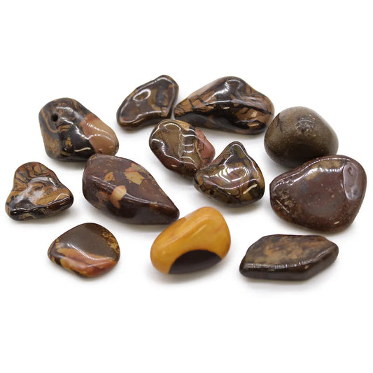 Picture Nguni Medium Tumblestone 12 Pack