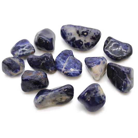 Sodalite Medium Tumblestone 12 Pack