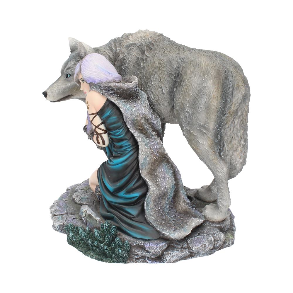 Protector Limited Edition 25cm