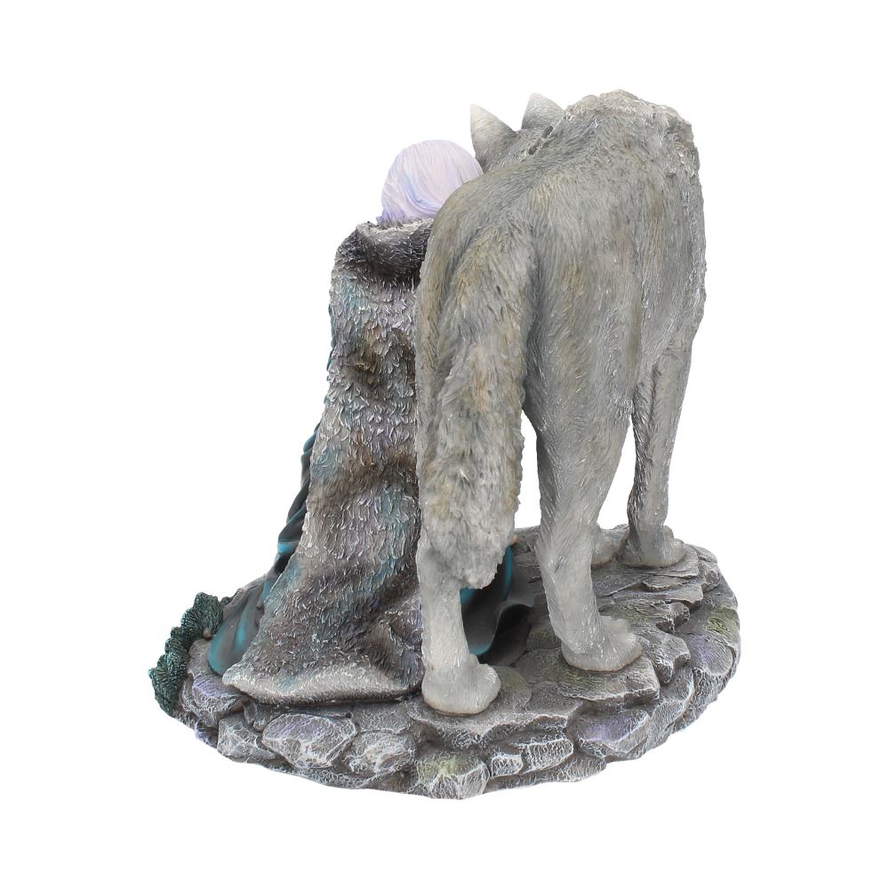 Protector Limited Edition 25cm