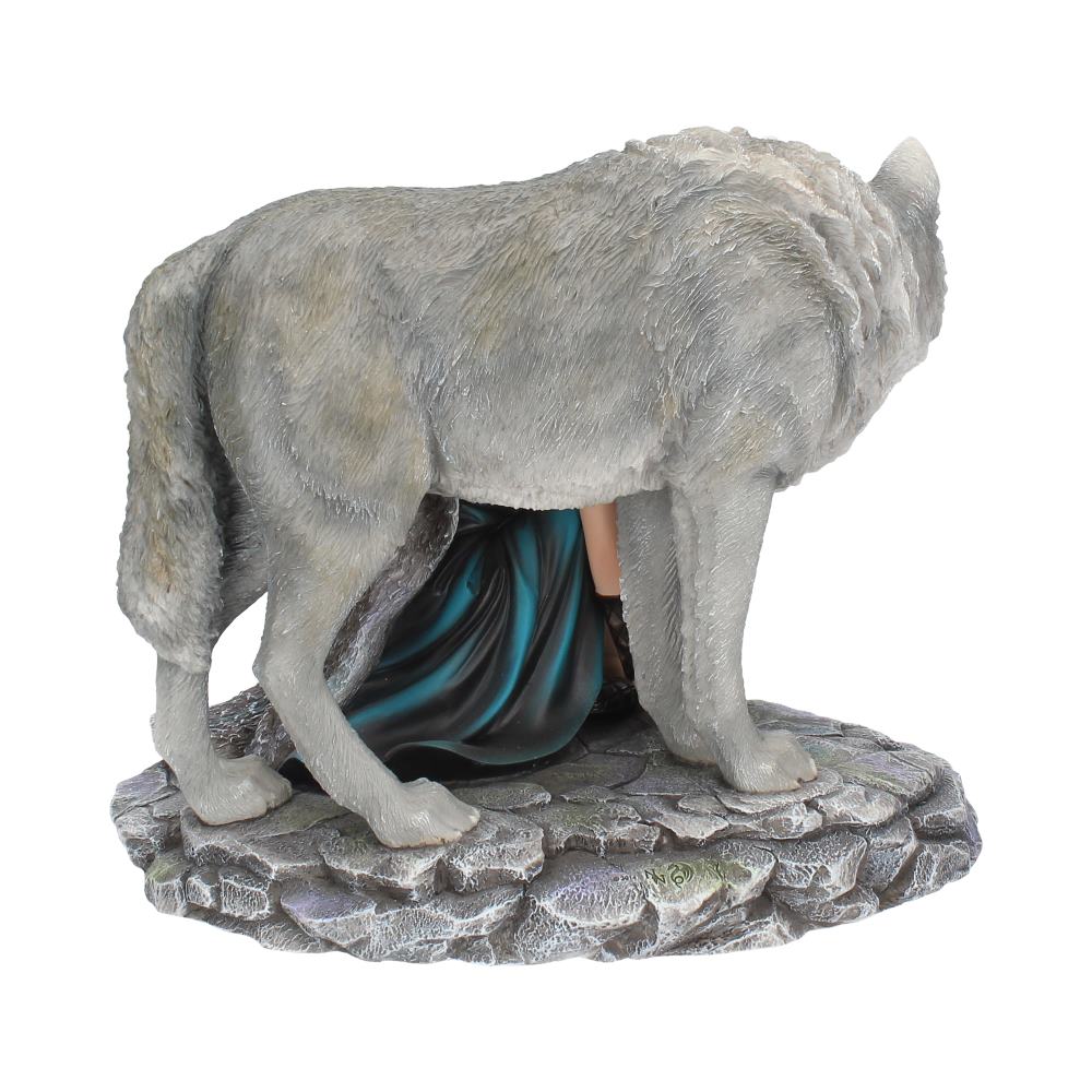 Protector Limited Edition 25cm