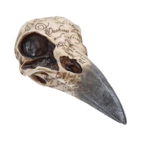 Edgars Raven Skull 21cm