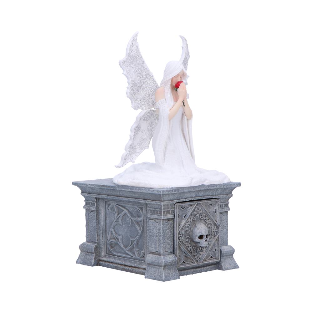 Only Love Remains Box