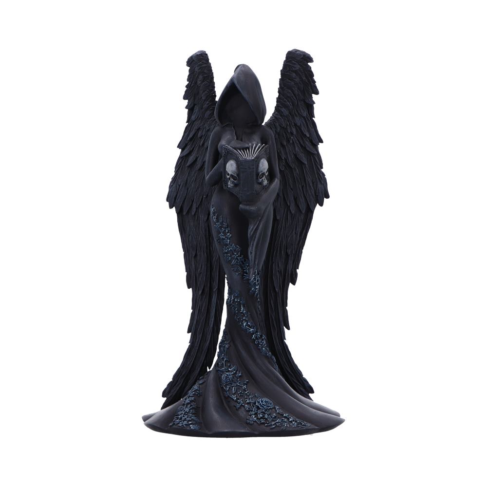 Femme Fatale Scholar Gothic Figurine - front of the winged hooded figure holding a skull-adorned book