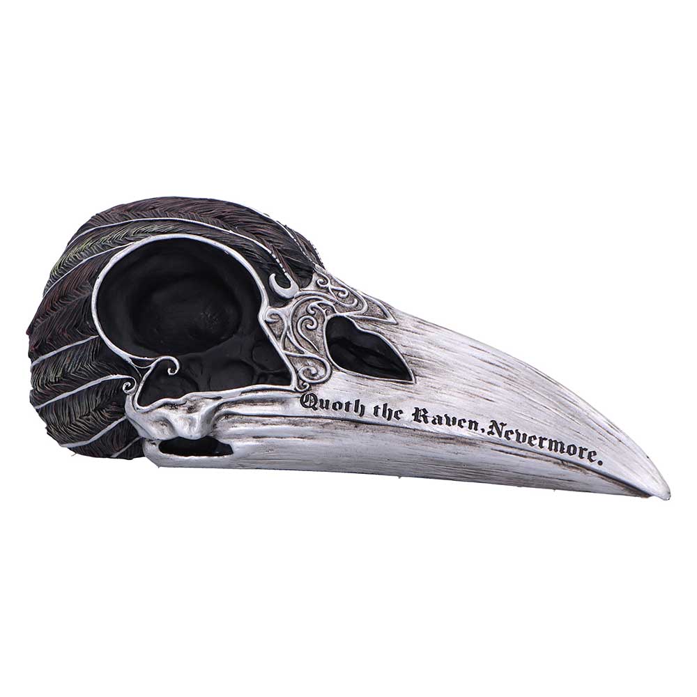 Quoth the Raven Skull Ornament - side profile of the raven skull with a pale beak and dark feathered crown