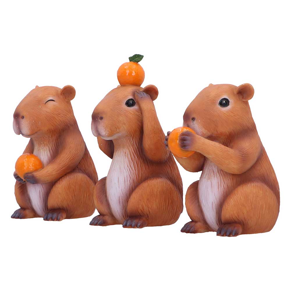 Three Wise Capybaras