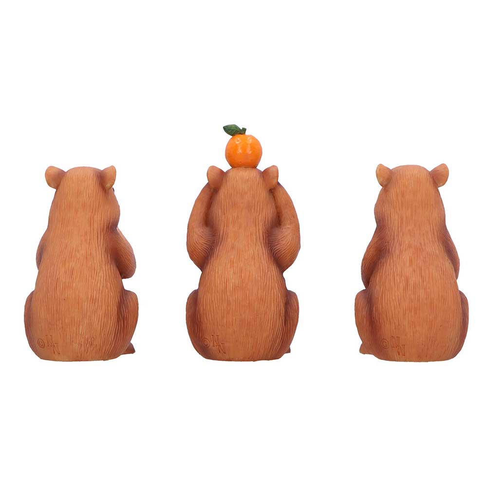 Three Wise Capybaras