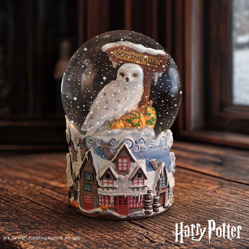 Harry Potter Hogsmeade Village Snow Globe - displayed beside books with white snow-like flecks around the owl inside the globe