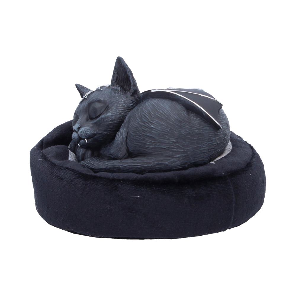 Malpuss Dreams