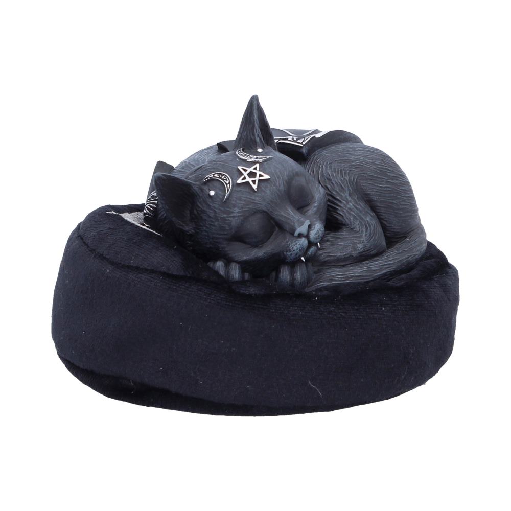Malpuss Dreams