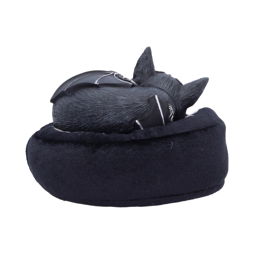 Malpuss Dreams