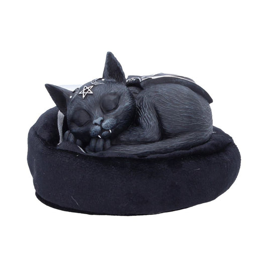 Malpuss Dreams