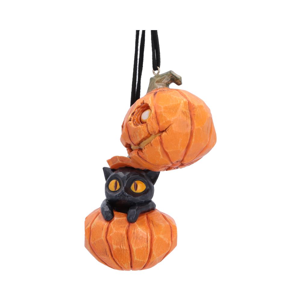 Pumpkin and Patch Hanging Ornaments (Set of 2)