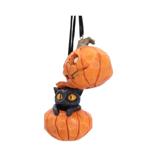 Pumpkin and Patch Hanging Ornaments (Set of 2)