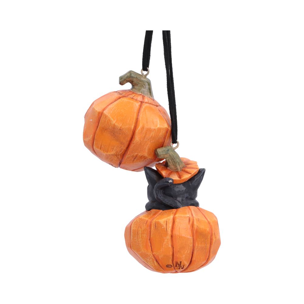 Pumpkin and Patch Hanging Ornaments (Set of 2)