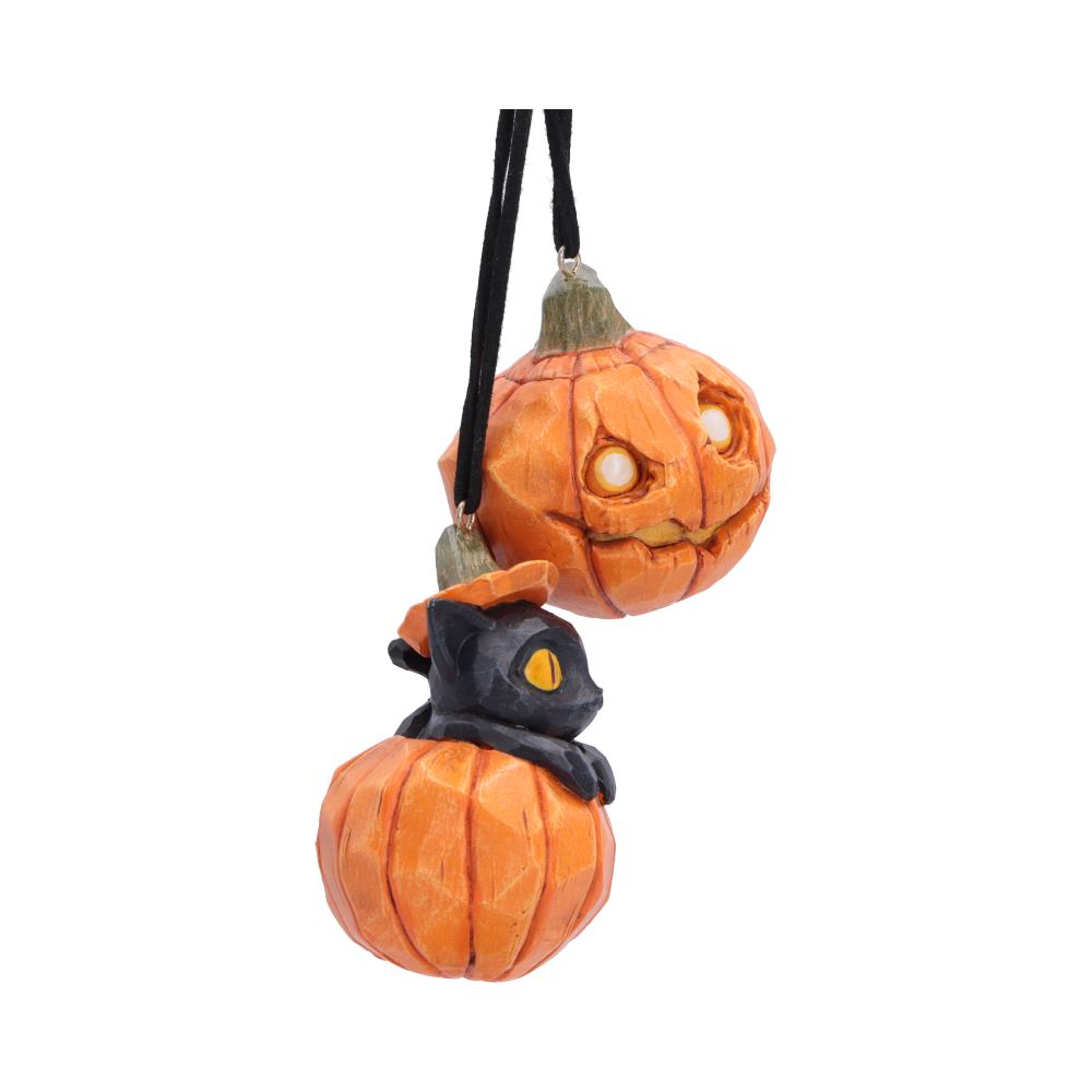Pumpkin and Patch Hanging Ornaments (Set of 2)