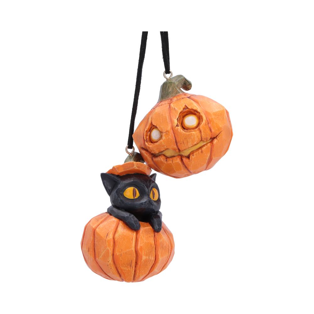 Pumpkin and Patch Hanging Ornaments (Set of 2)
