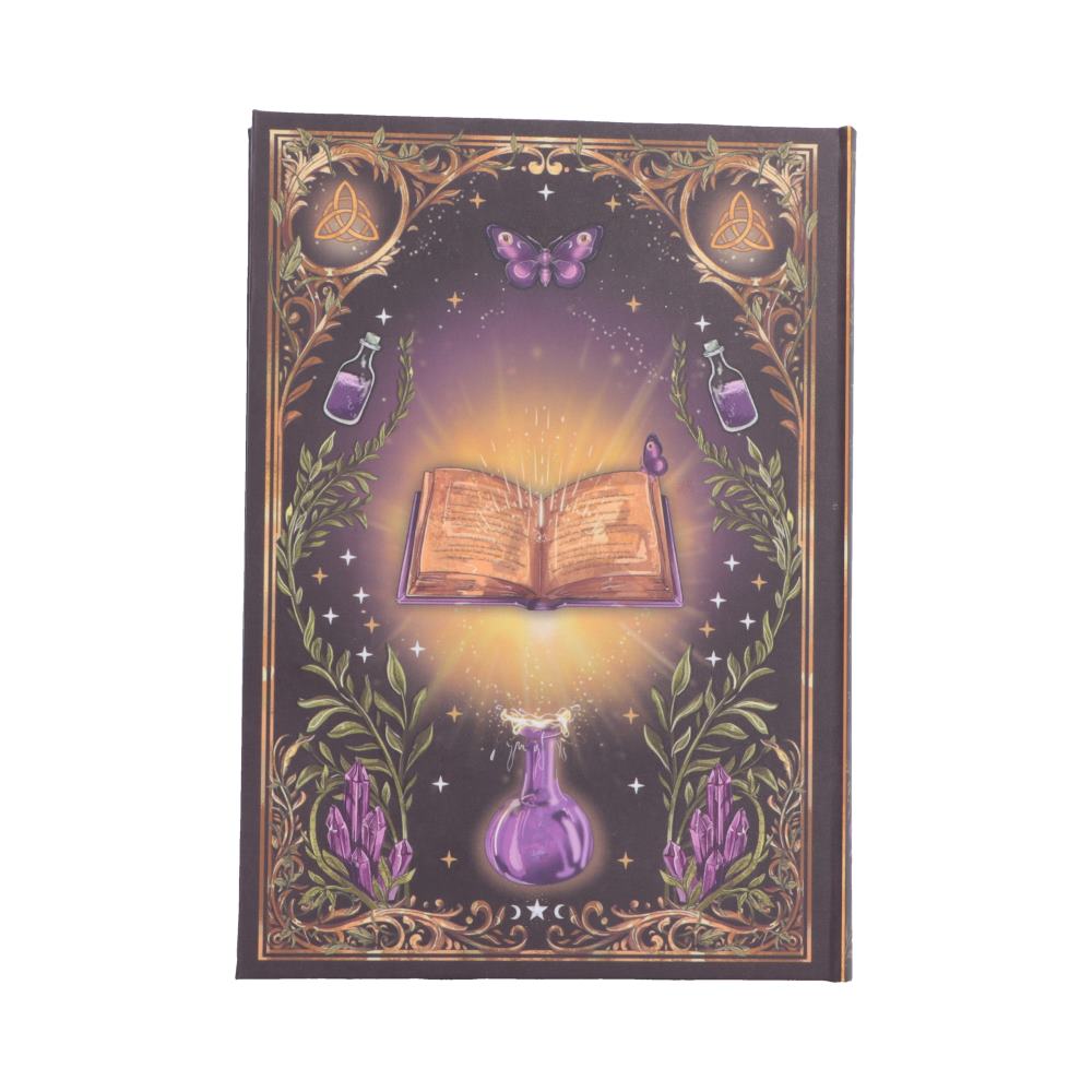 Book of Spells Journal - reverse with glowing open book artwork
