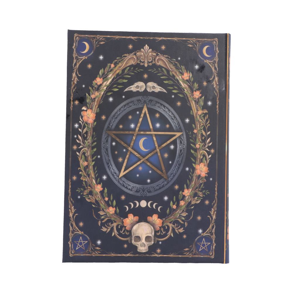 Book of Shadows Journal - reverse with pentagram, leaves and skull
