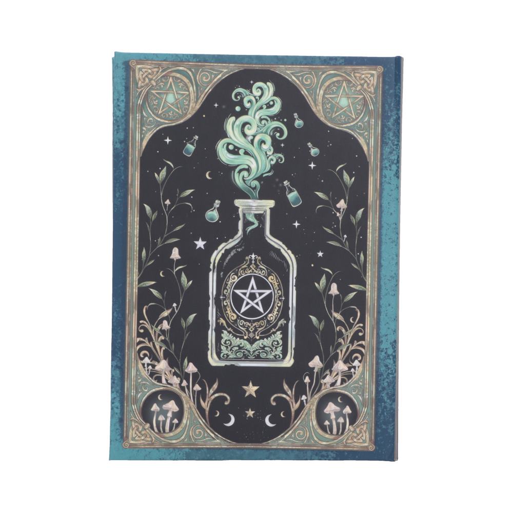 Book of Potions Journal - reverse with potion bottle and swirling symbols