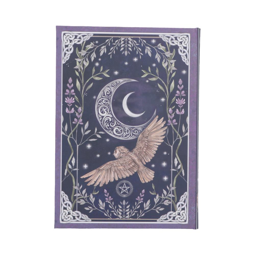 Moon Journal - reverse with owl flying beneath crescent moon