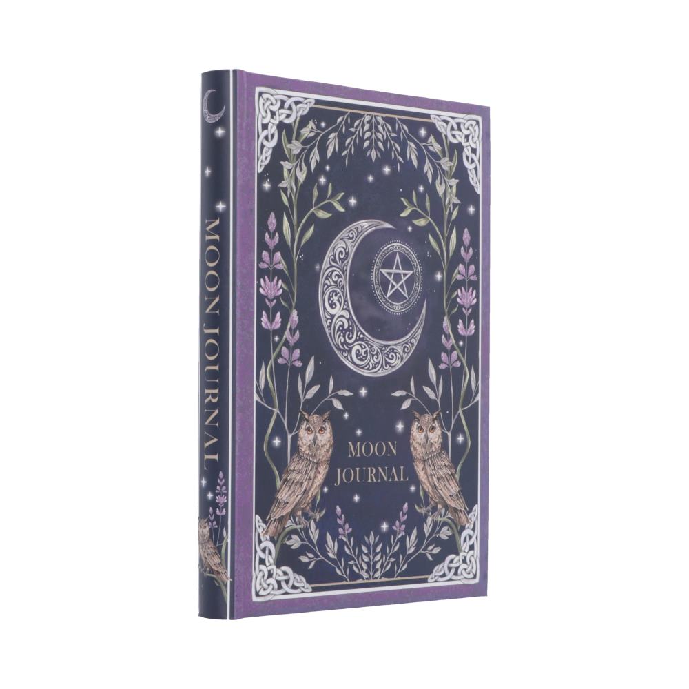 Moon Journal - opposite angle of owl-pair cover artwork
