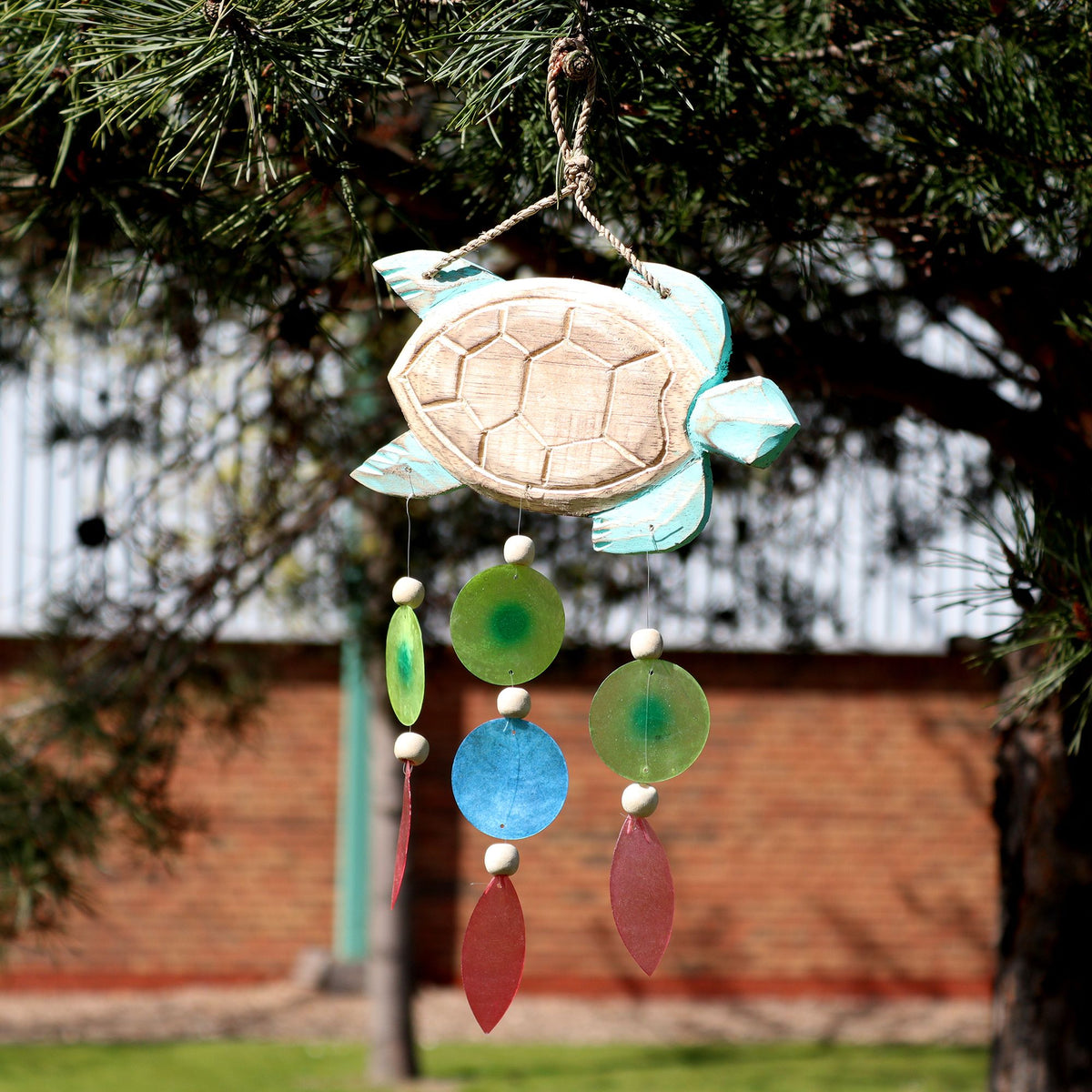 Handmade aqua turtle carving windchime with colourful Capiz shell drops.