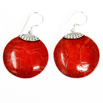 Silver and Gold Earrings