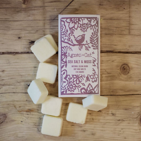 Agnes + Cat Sea Salt and Moss Wax Melts – box of 8 soy wax melts with fresh coastal fragrance
