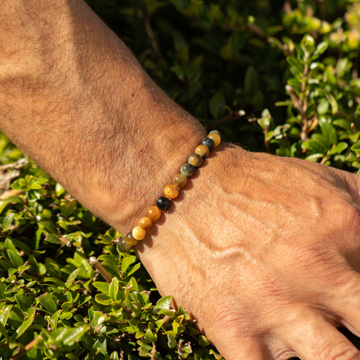 Petite Power Bracelet - Dream Tigereye
