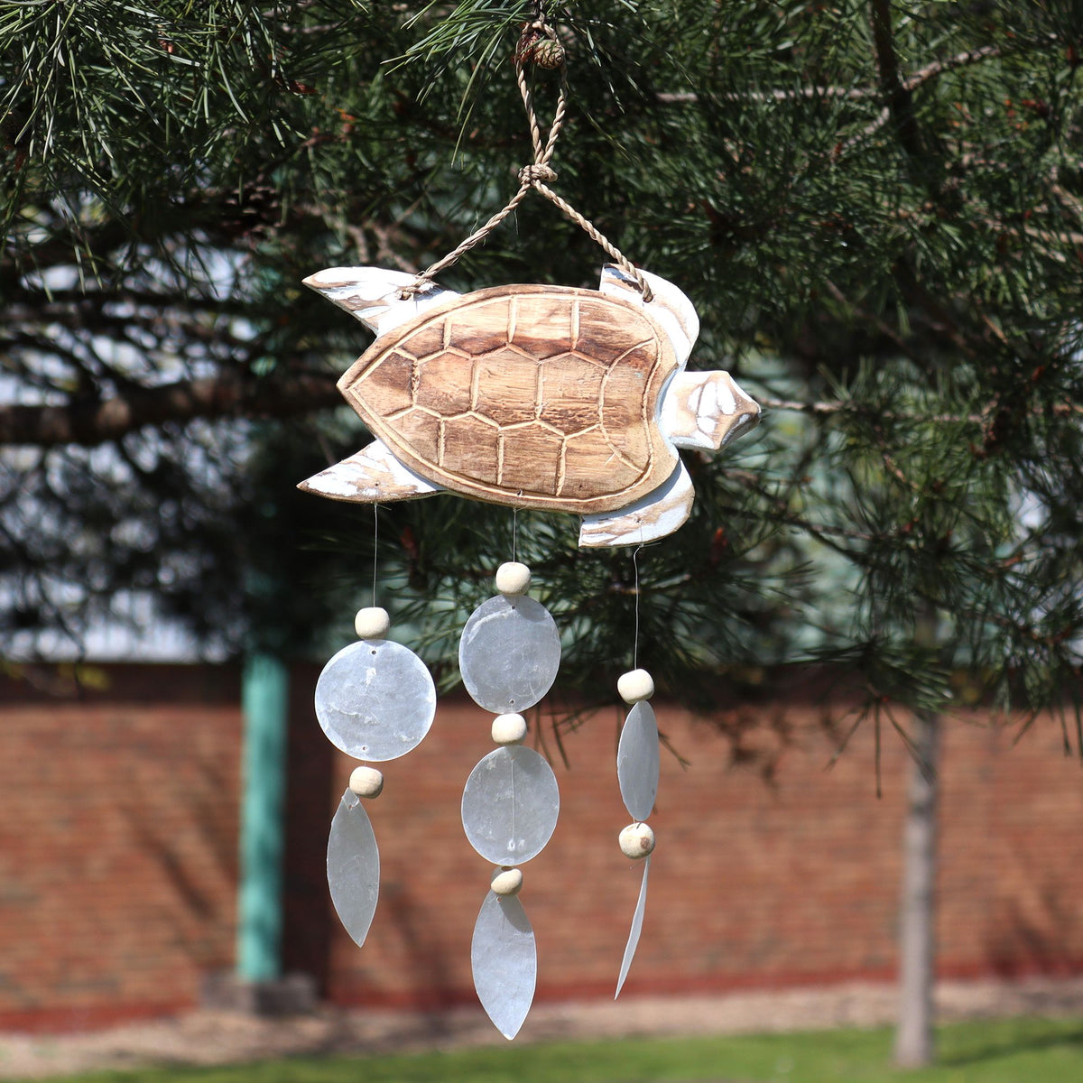 Handmade whitewashed turtle windchime with natural Capiz shell drops.