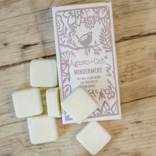 Agnes + Cat Windermere Wax Melts – box of 8 soy wax melts with fresh clean fragrance