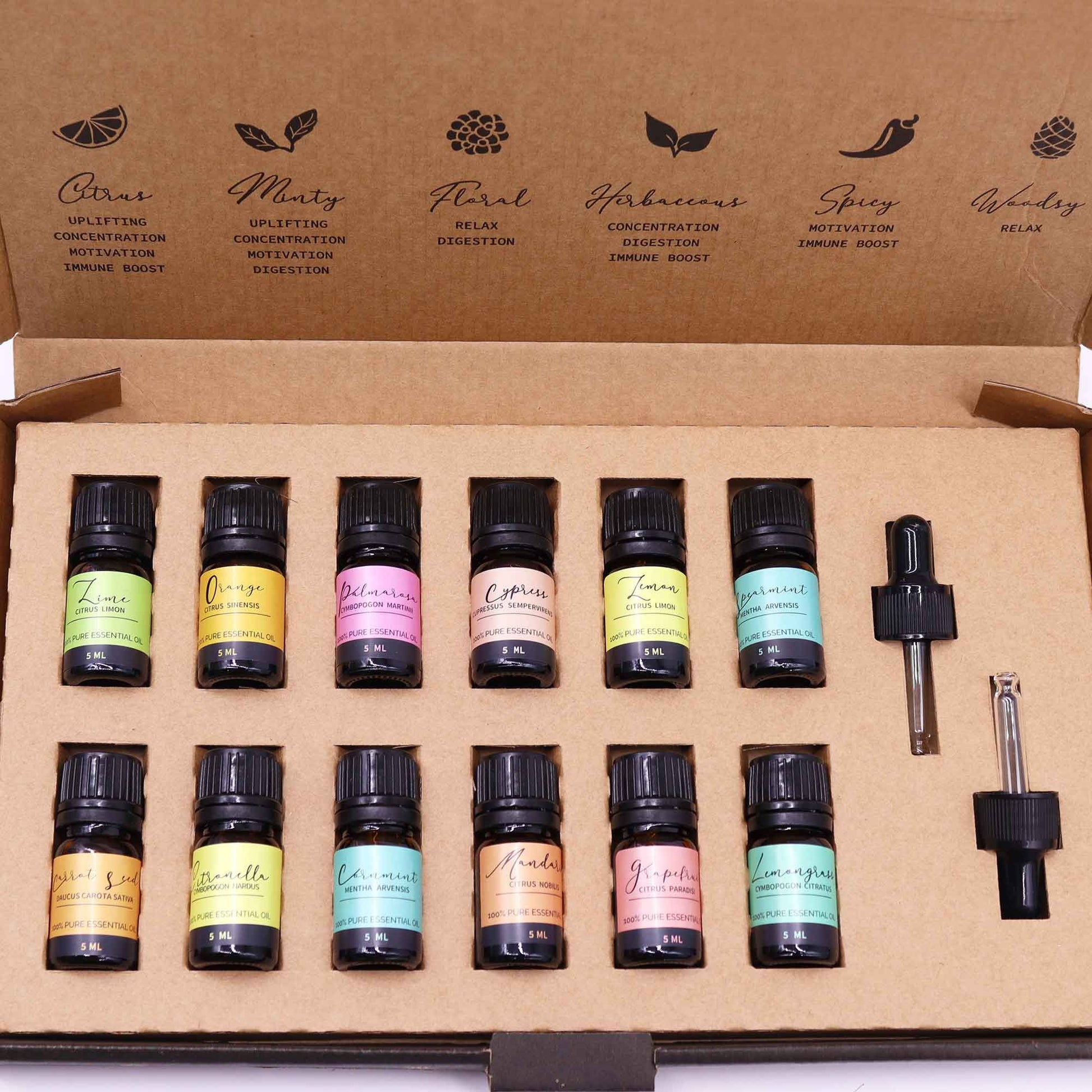 A set of twelve small essential oil bottles arranged upright in a cardboard insert with two droppers, inside an open box printed with icons and category text: Citrus UPLIFTING CONCENTRATION MOTIVATION IMMUNE BOOST; Minty UPLIFTING CONCENTRATION MOTIVATION DIGESTION; Floral RELAX DIGESTION; Herbaceous CONCENTRATION DIGESTION IMMUNE BOOST; Spicy MOTIVATION IMMUNE BOOST; Woodsy RELAX; Bottle labels: Lime CITRUS LIMON 100% PURE ESSENTIAL OIL 5 ML; Orange CITRUS SINENSIS 100% PURE ESSENTIAL OIL 5 ML; Palmarosa C