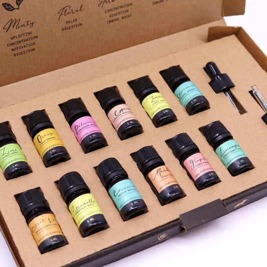 Small essential oil bottles arranged in a cardboard insert inside a fold-open box with droppers; visible text: Minty UPLIFTING CONCENTRATION MOTIVATION DIGESTION Floral RELAX DIGESTION CONCENTRATION DIGESTION IMMUNE BOOST bottle labels read 100% PURE ESSENTIAL OIL 5 ML with scent names including Lime Orange Palmarosa Cypress Lemon Peppermint Lemongrass Grapefruit Mandarin