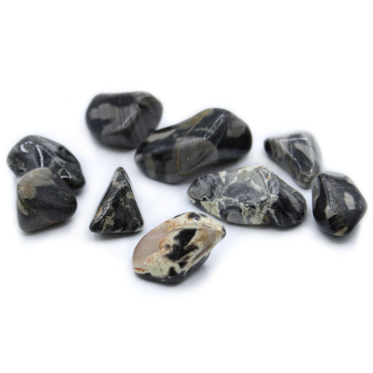 Silverleaf Jasper Large 24 Pack