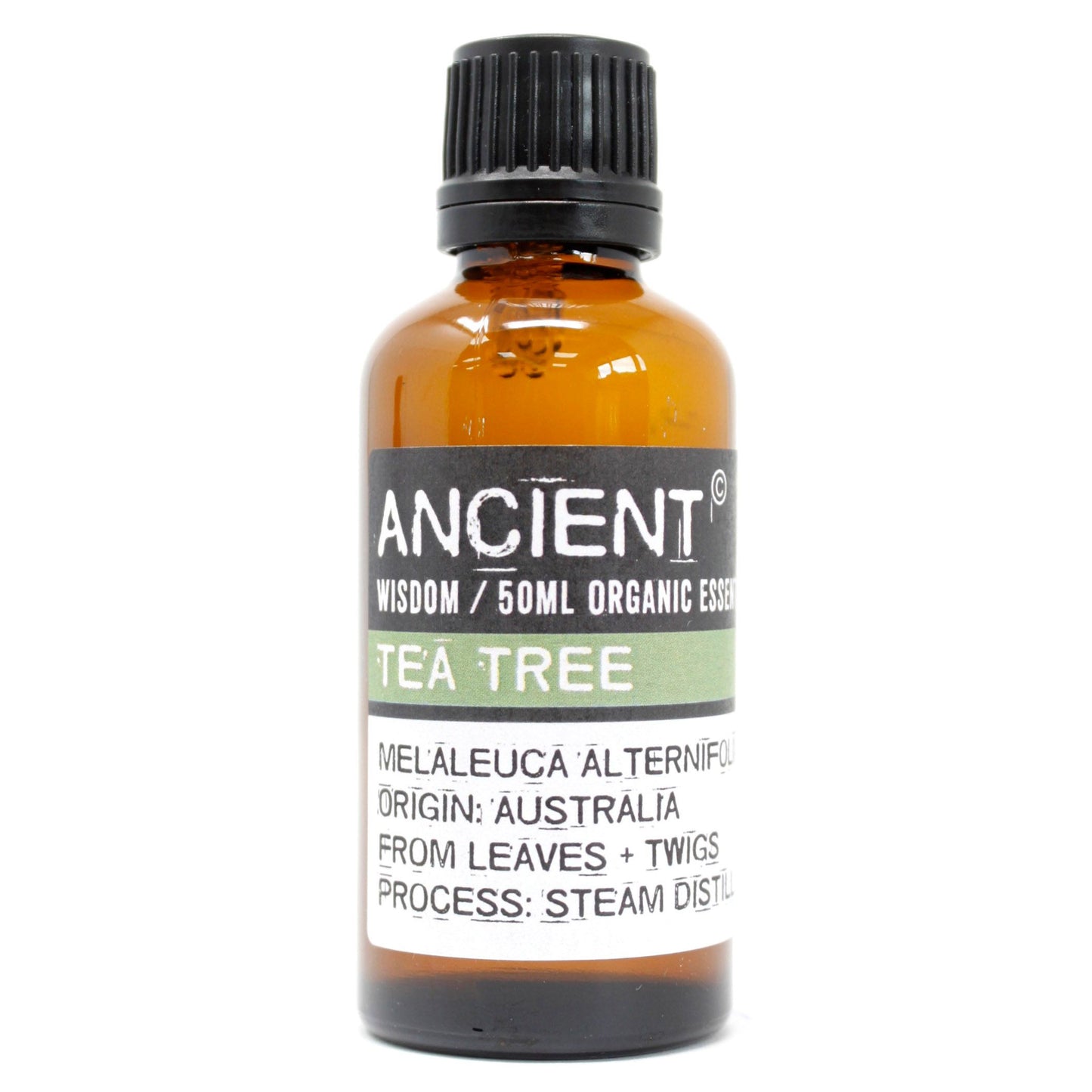 Organic Tea Tree Essential Oil 50ml with fresh herbaceous botanical aroma for aromatherapy and home fragrance.