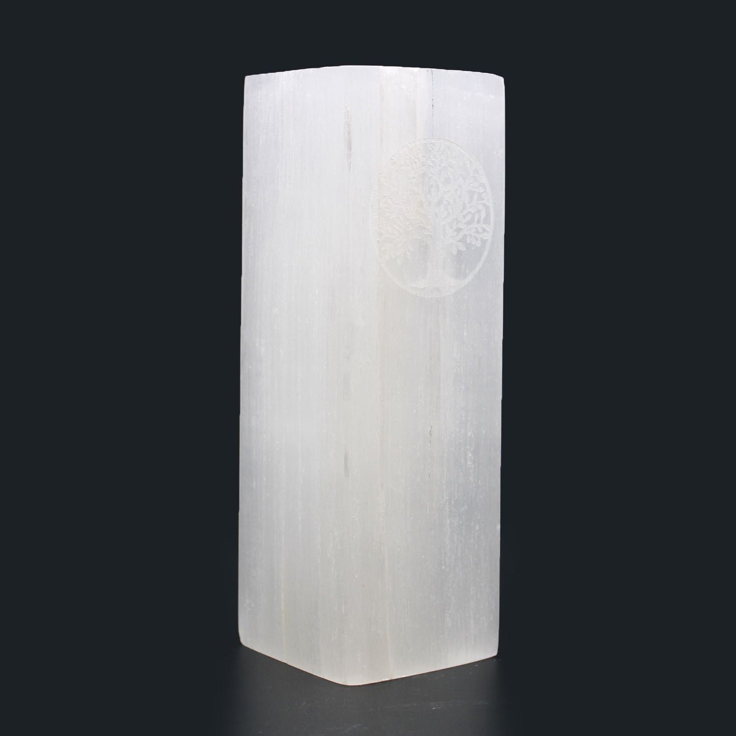 Selenite Block Lamp Tree of Life
