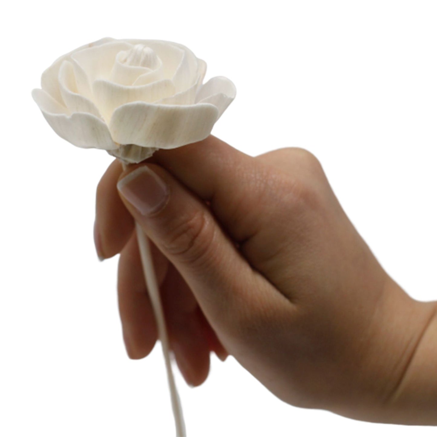 Natural rose diffuser flower on reed sola wood decorative fragrance diffuser accessory