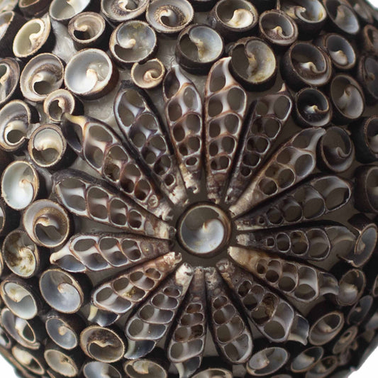 Boho Sea Shell Lamp Chocolate Twist Globe Small