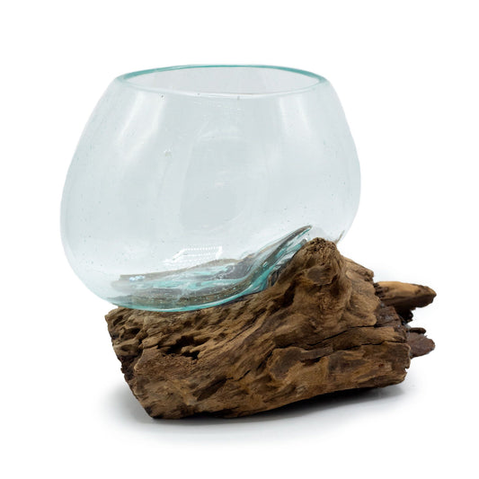 Medium molten glass bowl shaped over natural gamal wood base for air plants and decorative displays UK