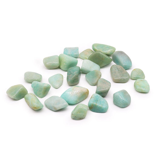Amazonite Large 24 Pack